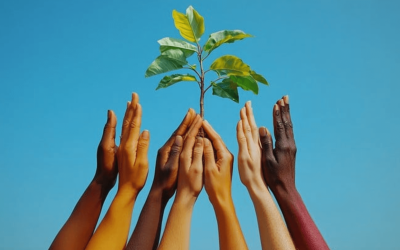 Second Chances Start Here: Grace Period’s HOPE Initiative